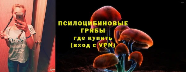 бутират Горняк