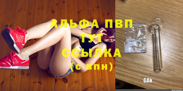 гашик Горно-Алтайск